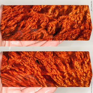 Stabilized wood red amboyna burl block