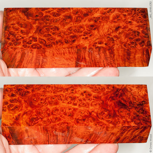 Stabilized wood red amboyna burl block