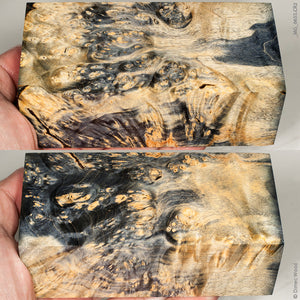 Stabilized wood box elder burl block