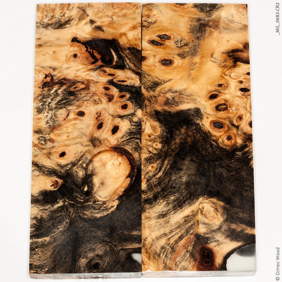 Stabilized wood hybrid buckeye burl panels