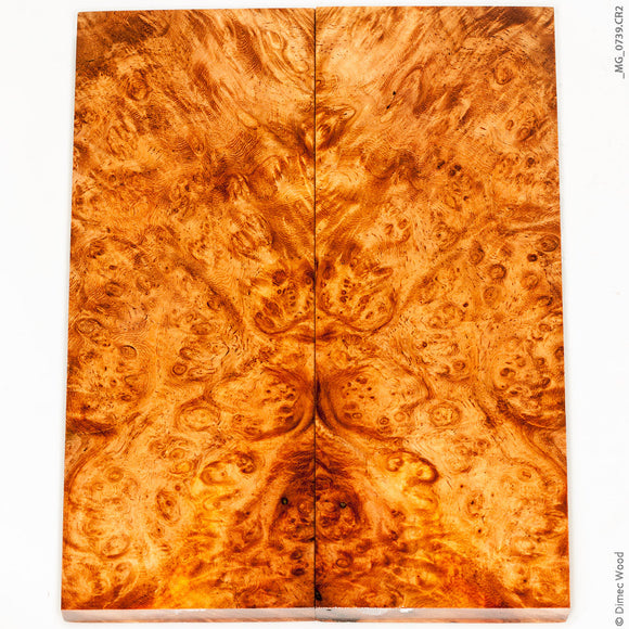 Stabilized golden amboyna burl wood panels