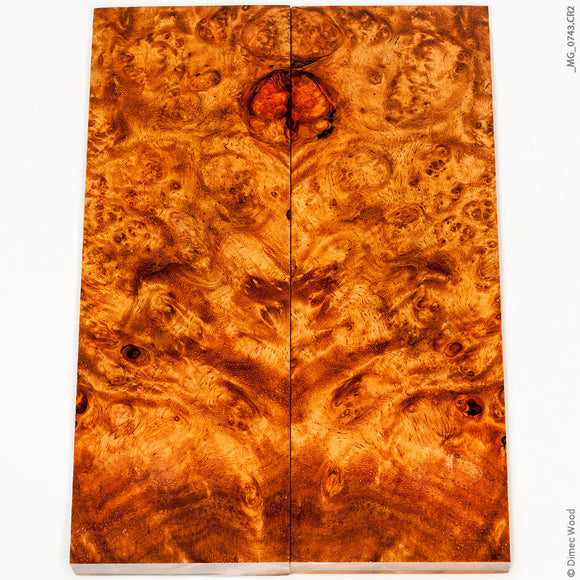 Stabilized golden amboyna burl wood panels