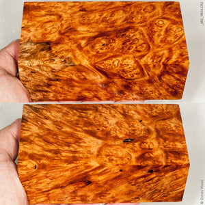 Stabilized wood golden amboyna burl block