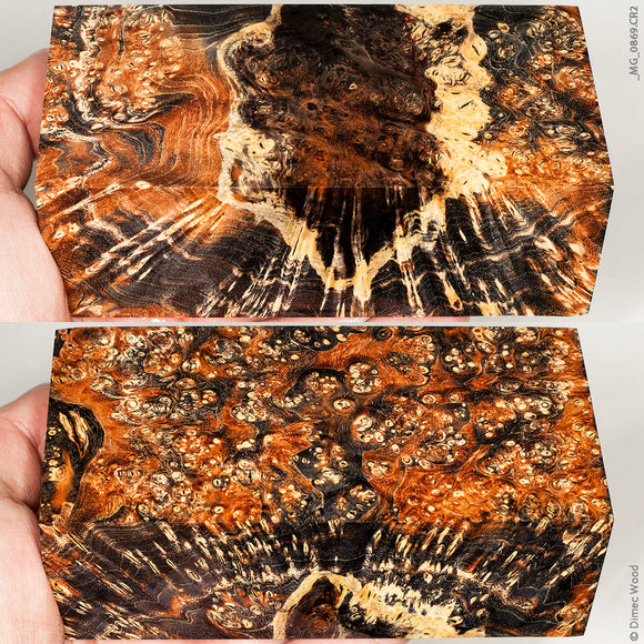 Stabilized wood box elder burl block