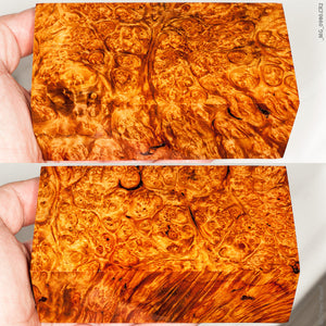 Stabilized wood golden amboyna burl block