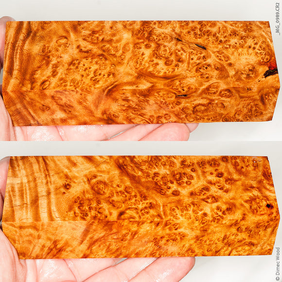 Stabilized wood golden amboyna burl block