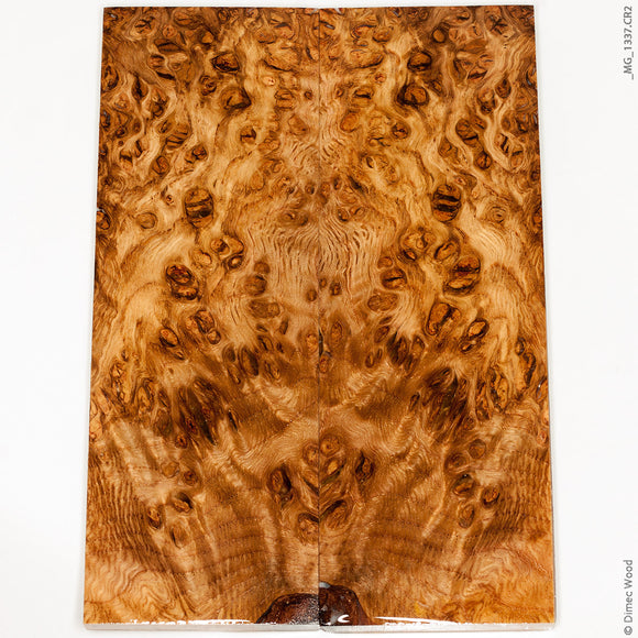 Stabilized wood oak burl panels