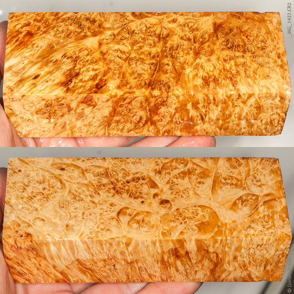 Stabilized wood natural box elder burl block