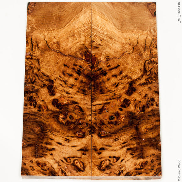 Stabilized wood oak burl panels