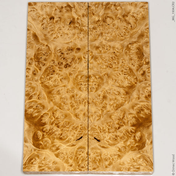 Stabilized natural wood box elder burl panels