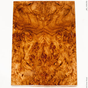 Stabilized natural wood oak burl panels