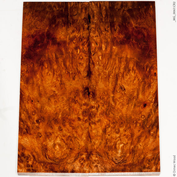 Stabilized golden amboyna burl wood panels