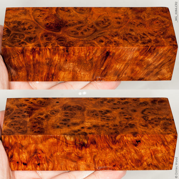 Stabilized wood golden amboyna burl block