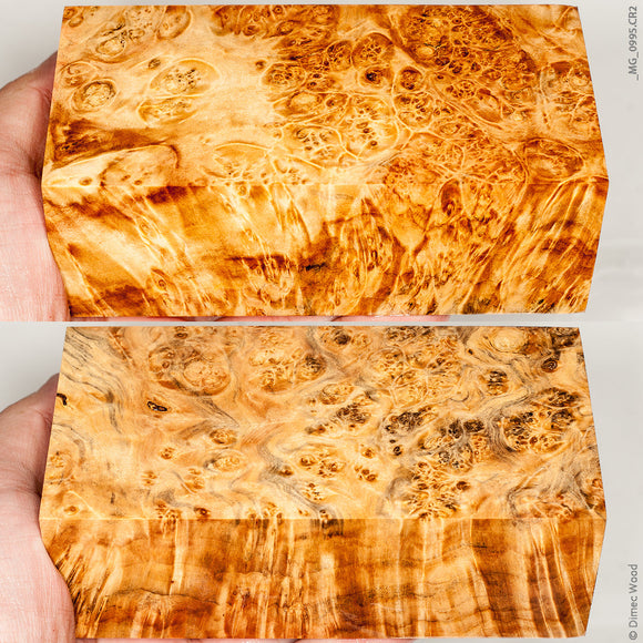 Stabilized wood box elder burl block