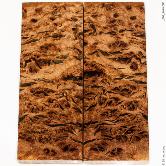 Stabilized natural wood oak burl panels