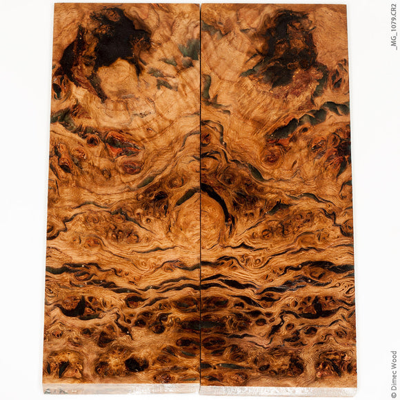 Stabilized natural wood oak burl panels