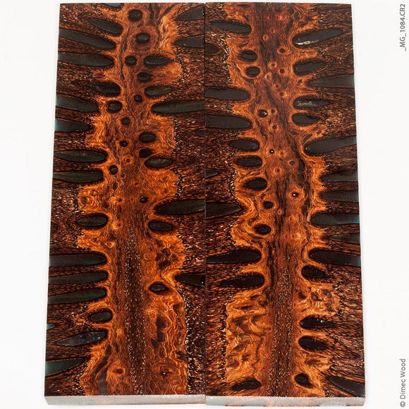 Stabilized wood banksia pod hybrid panels