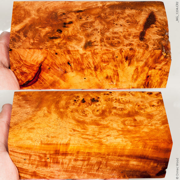 Stabilized wood golden amboyna burl block