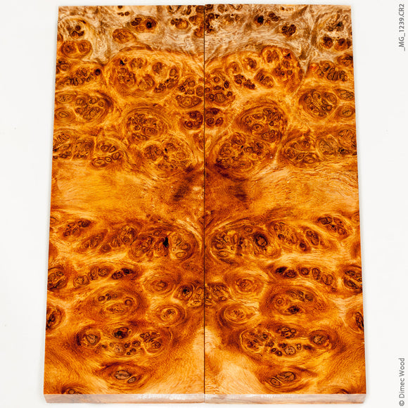 Stabilized golden amboyna burl wood panels