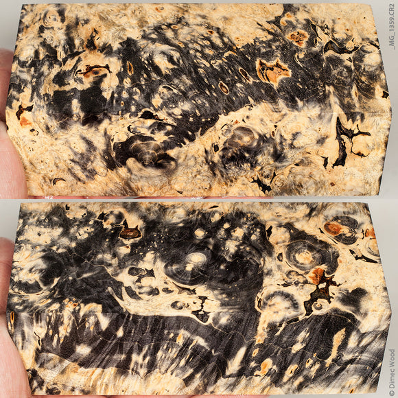 Stabilized wood box elder burl block