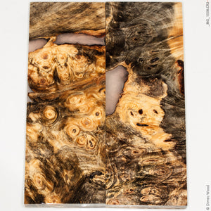 Stabilized wood hybrid buckeye burl panels