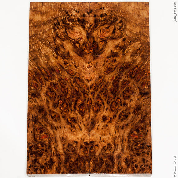 Stabilized wood oak burl panels