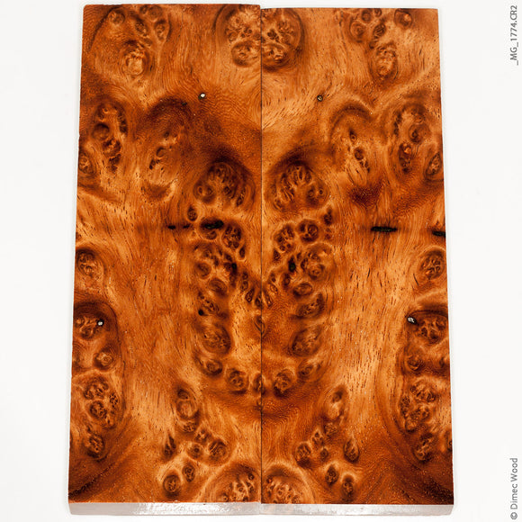 Stabilized golden amboyna burl wood panels