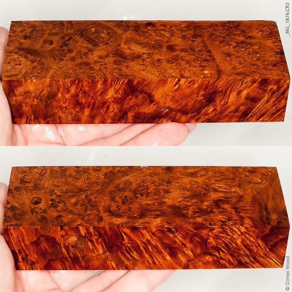 Stabilized wood golden amboyna burl block