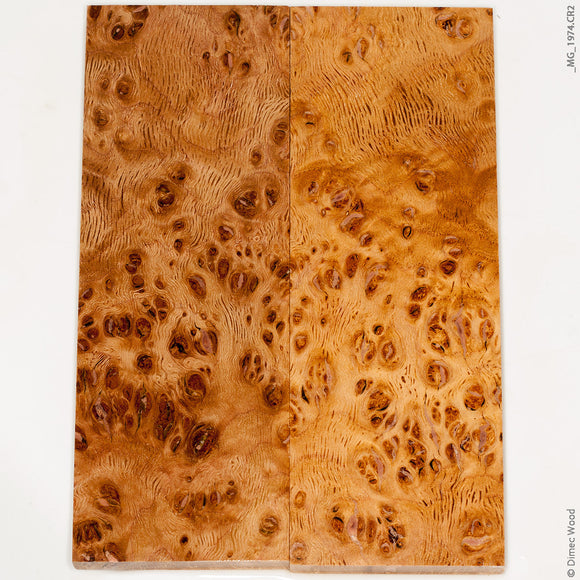 Stabilized wood oak burl panels