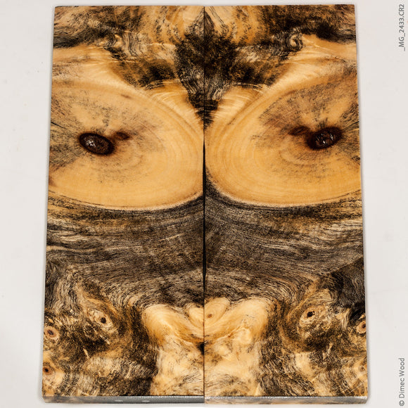 Stabilized wood hybrid buckeye burl panels