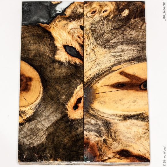 Stabilized wood hybrid buckeye burl panels