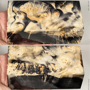 Stabilized wood box elder burl block