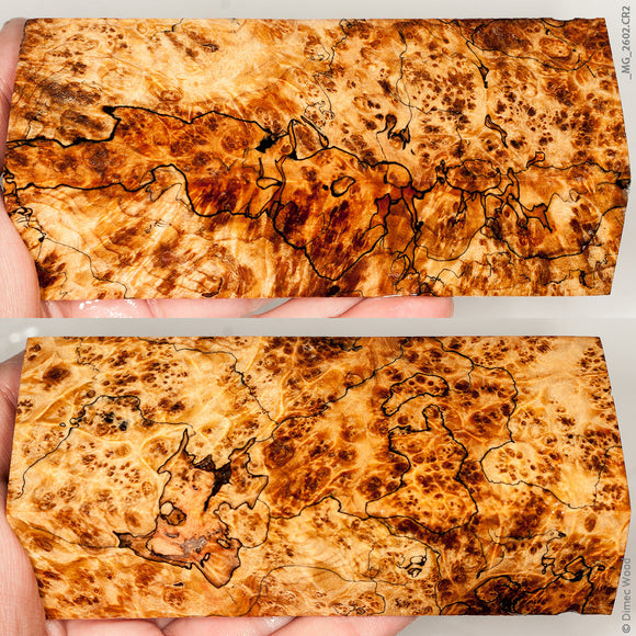 Stabilized wood spalted  box elder burl block