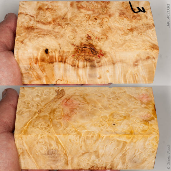 Stabilized wood box elder burl block