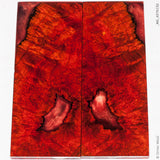 Natural bloodwood burl panels