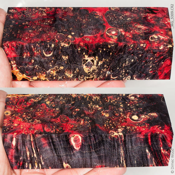 Stabilized wood box elder burl block