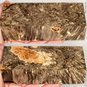 Stabilized wood box elder burl block