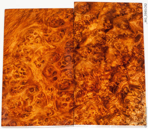 Stabilized wood golden amboyna burl panels