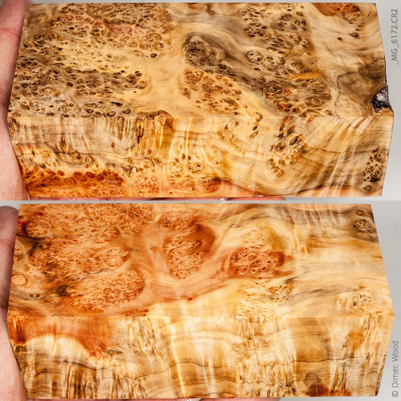 Stabilized wood box elder burl block