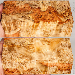 Stabilized wood box elder burl block