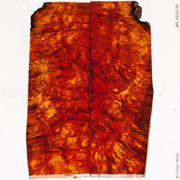 Natural bloodwood burl panels