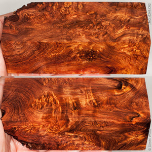 Natural honduran rosewood burl block