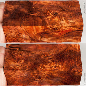 Natural honduran rosewood burl block