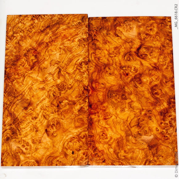 Stabilized golden amboyna burl wood panels