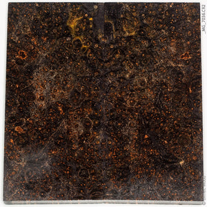 Stabilized wood black ash burl panels