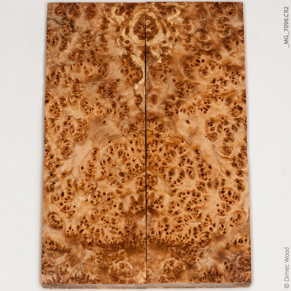 Stabilized wood black ash burl panels