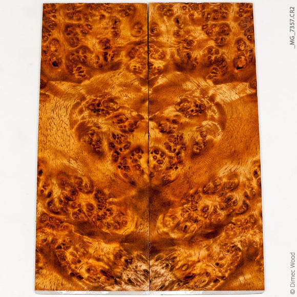 Stabilized golden amboyna burl wood panels