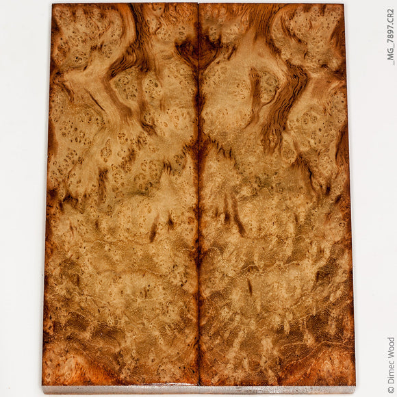 Stabilized wood teak burl panels