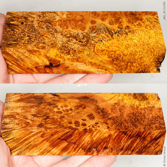 Stabilized wood spalted tamarind burl block