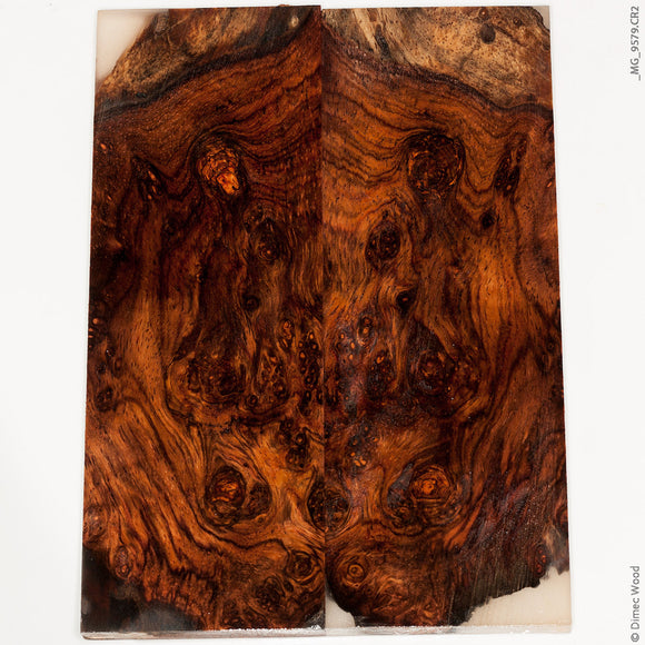 Natural wood honduran rosewood burl panels